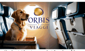 Trasporto animali in aereo | Nuove regole ENAC dal 12 maggio