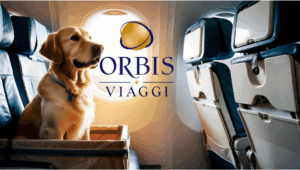 Trasporto animali in aereo | Nuove regole ENAC dal 12 maggio